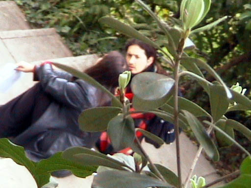 paparazzicechin